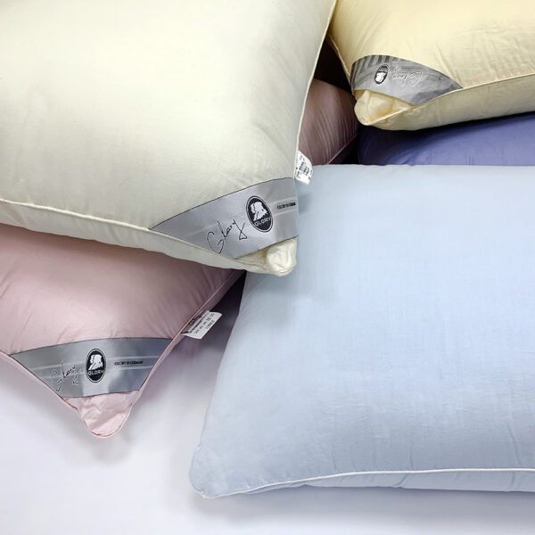 【GLORY】抗菌透氣個性枕 有色枕