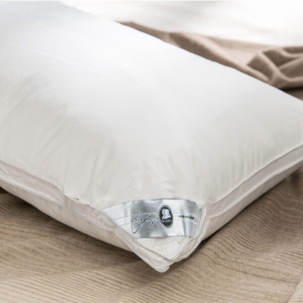 【GLORY】立體滾灰邊羽絨枕5050