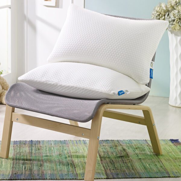 【百貨熱銷款】LOVE-超柔軟記憶枕