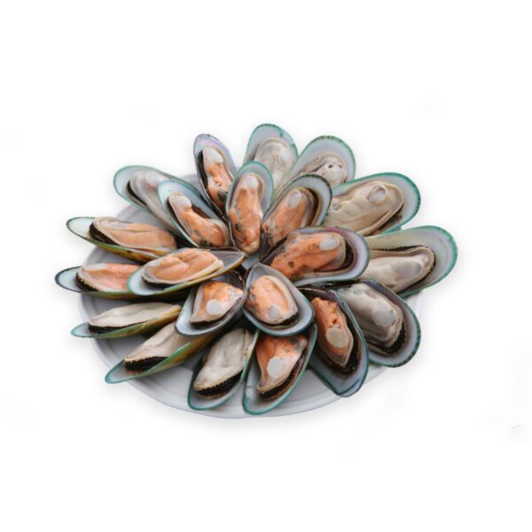 【紐西蘭】半殼淡菜