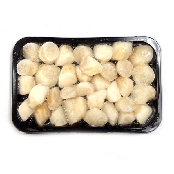 【菲律賓】野生扇貝柱